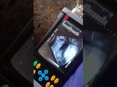 Taşınabilir veteriner ultrason tarayıcısı BR-VET7