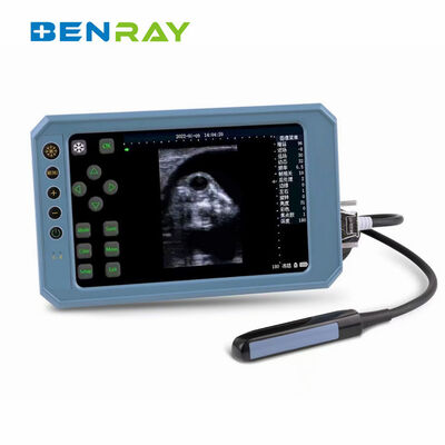 Portable Veterinary Ultrasound Scanner Touch Screen