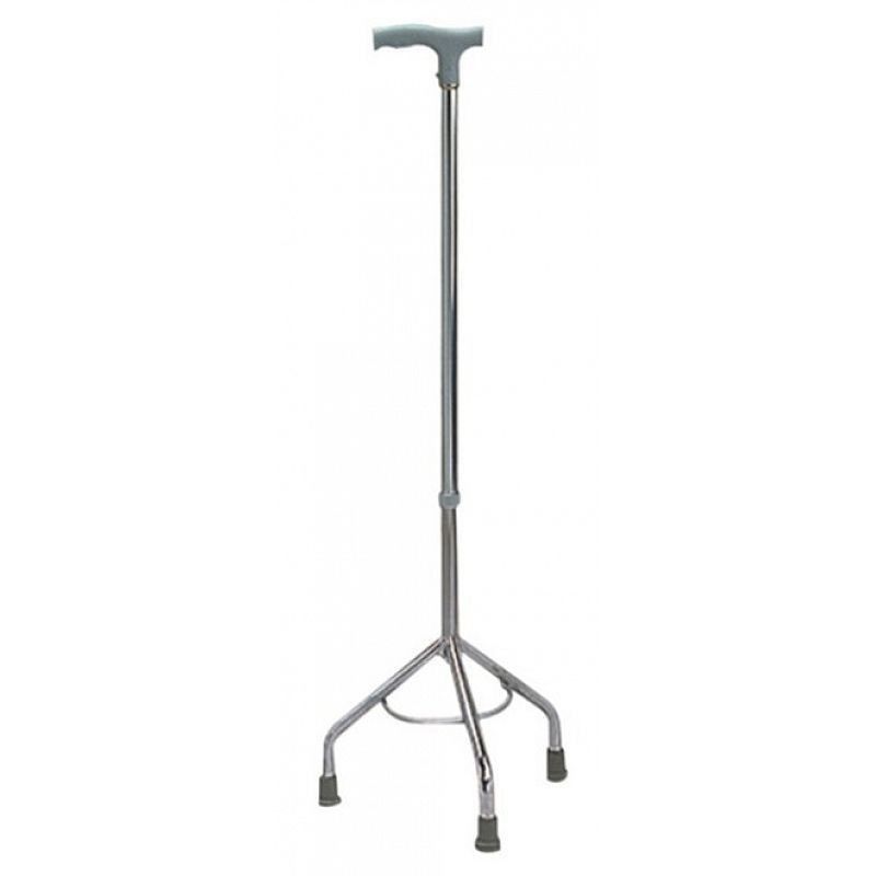 Cane