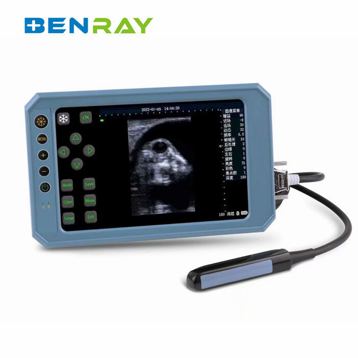 Portable Veterinary Ultrasound Scanner Touch Screen